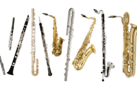 What is your favourite woodwind instrument?